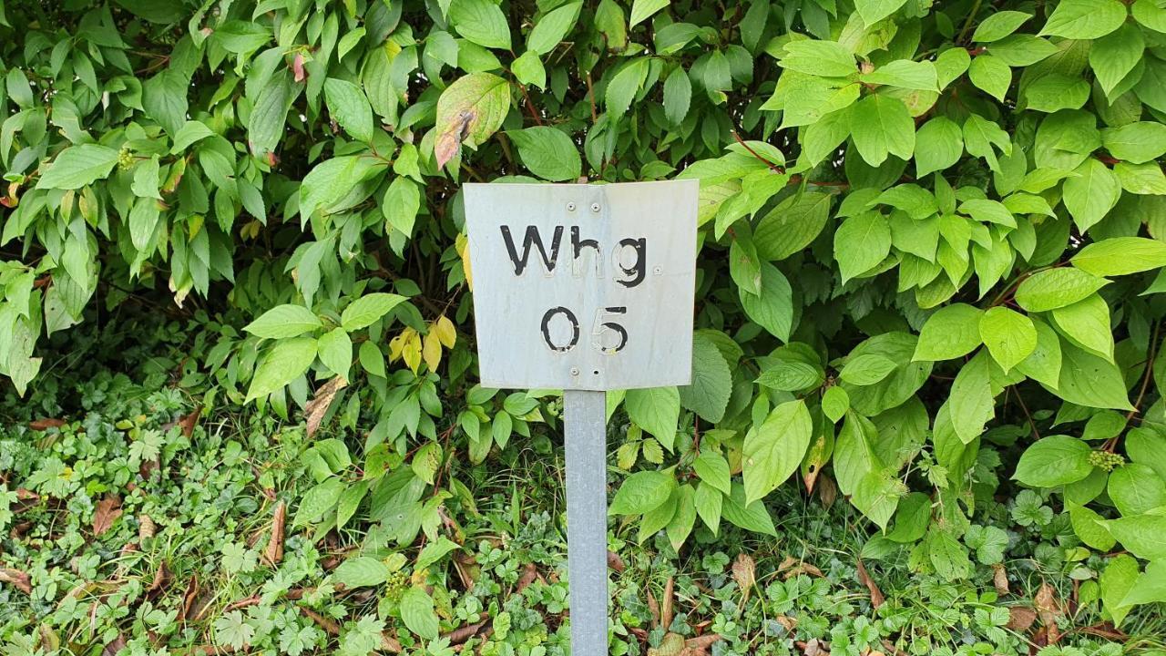 Ferienwohnung Fuer 5 Personen In Wasserburg Exterior foto